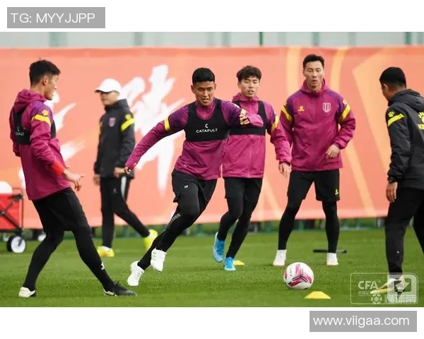 成都极限运动队个人能力分析与发展潜力探讨